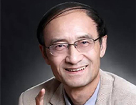 <b>王宁</b>