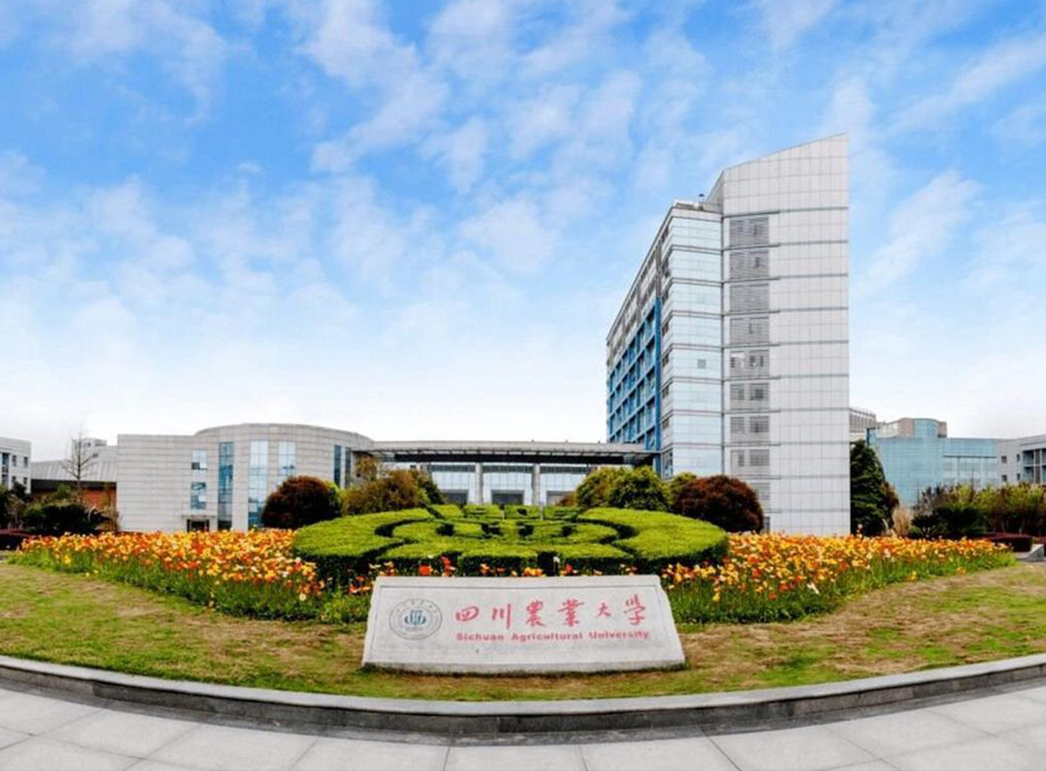 <b>四川农业大学同等学历申硕项</b>