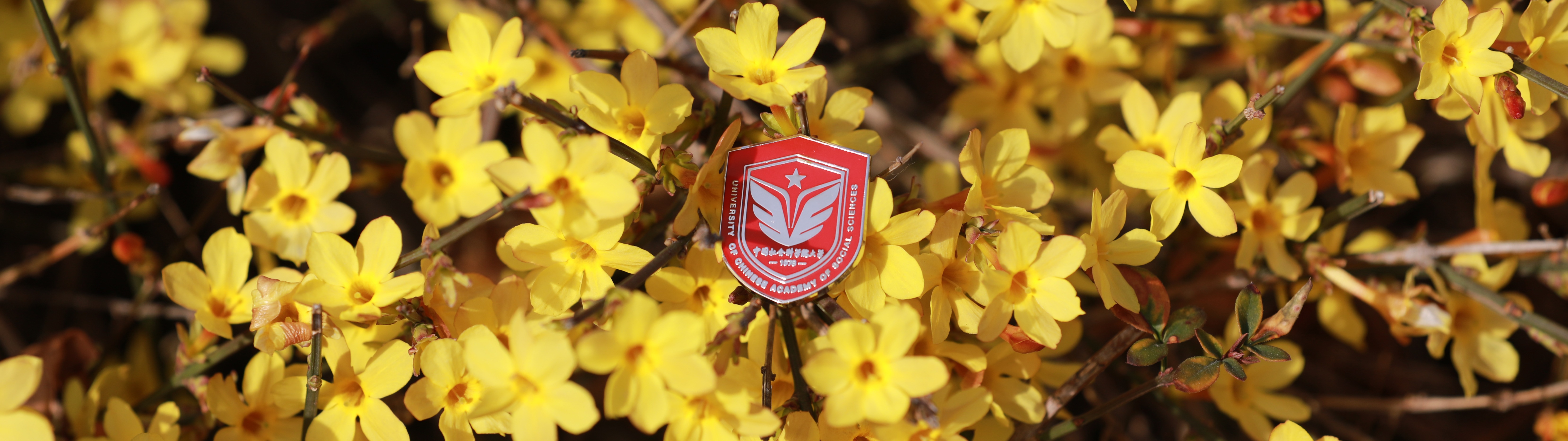 中国社会科学院大学博士研究生在职申请