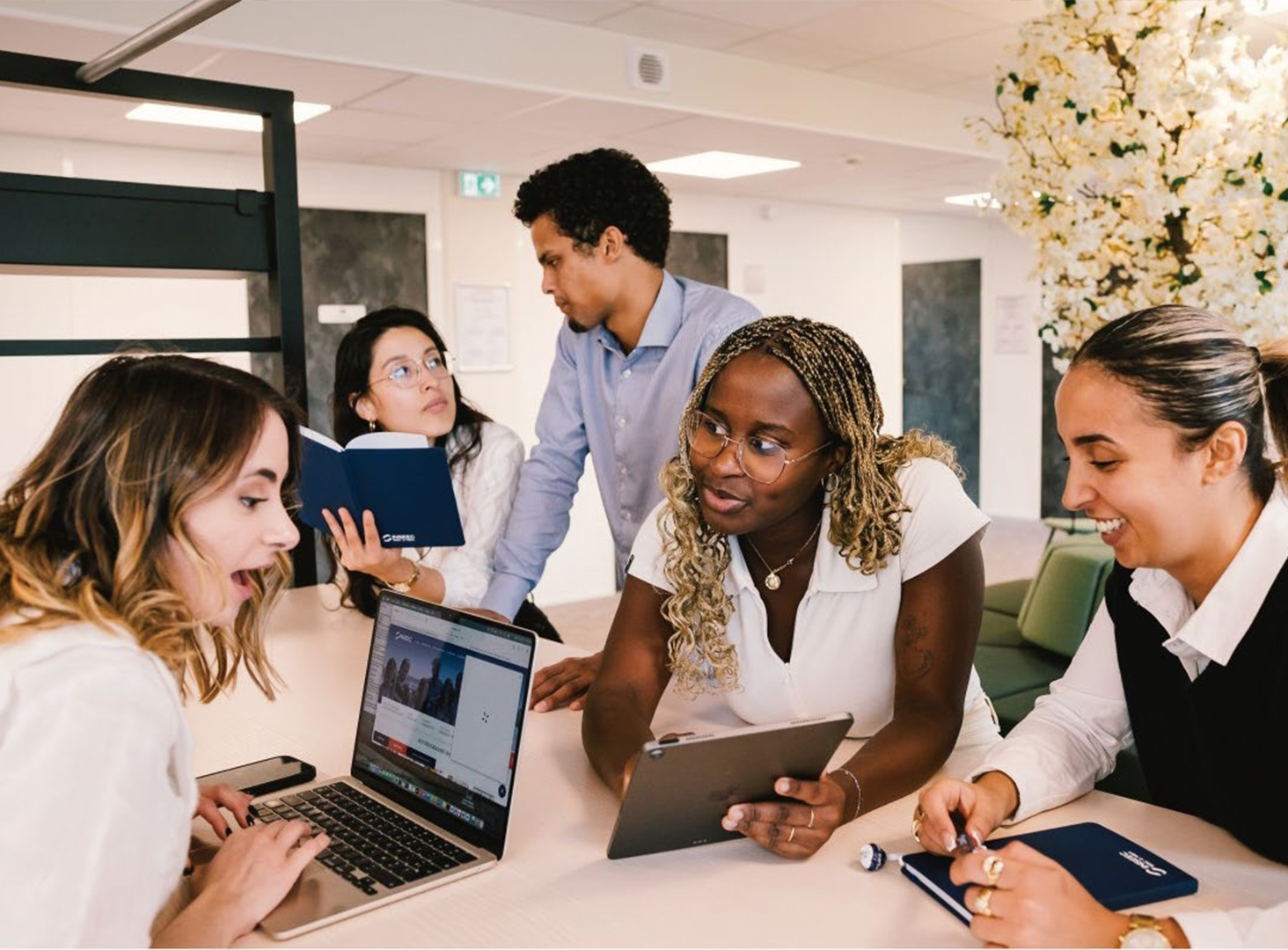 <b>法国INSEEC高等商学院硕博简章</b>