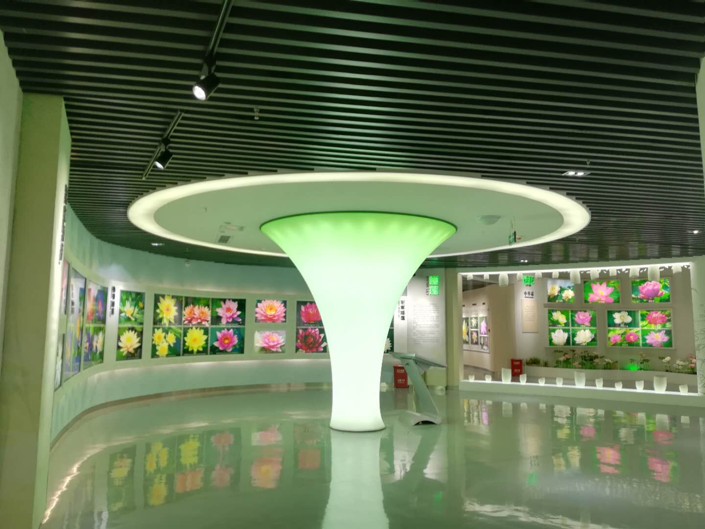 【走进新遂宁，共创新发展】