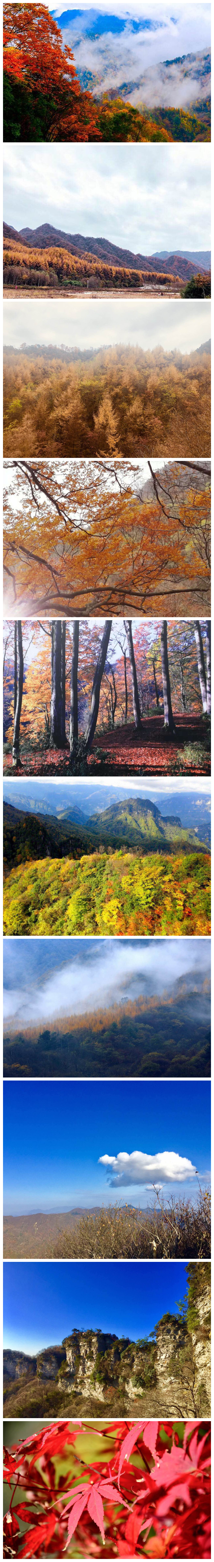 2018年西财EMBA班“游巴中光雾山·赏漫山红叶”秋
