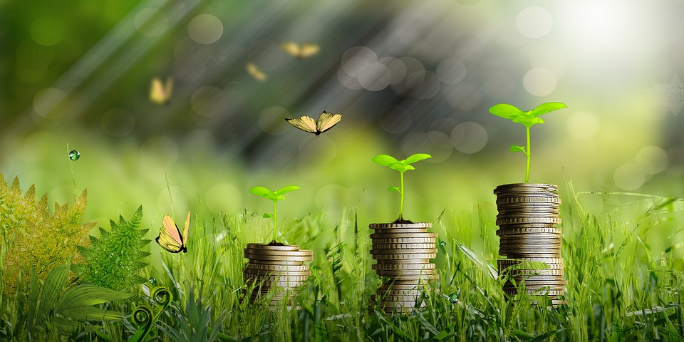 绿色金融研修班 绿色金融研修班